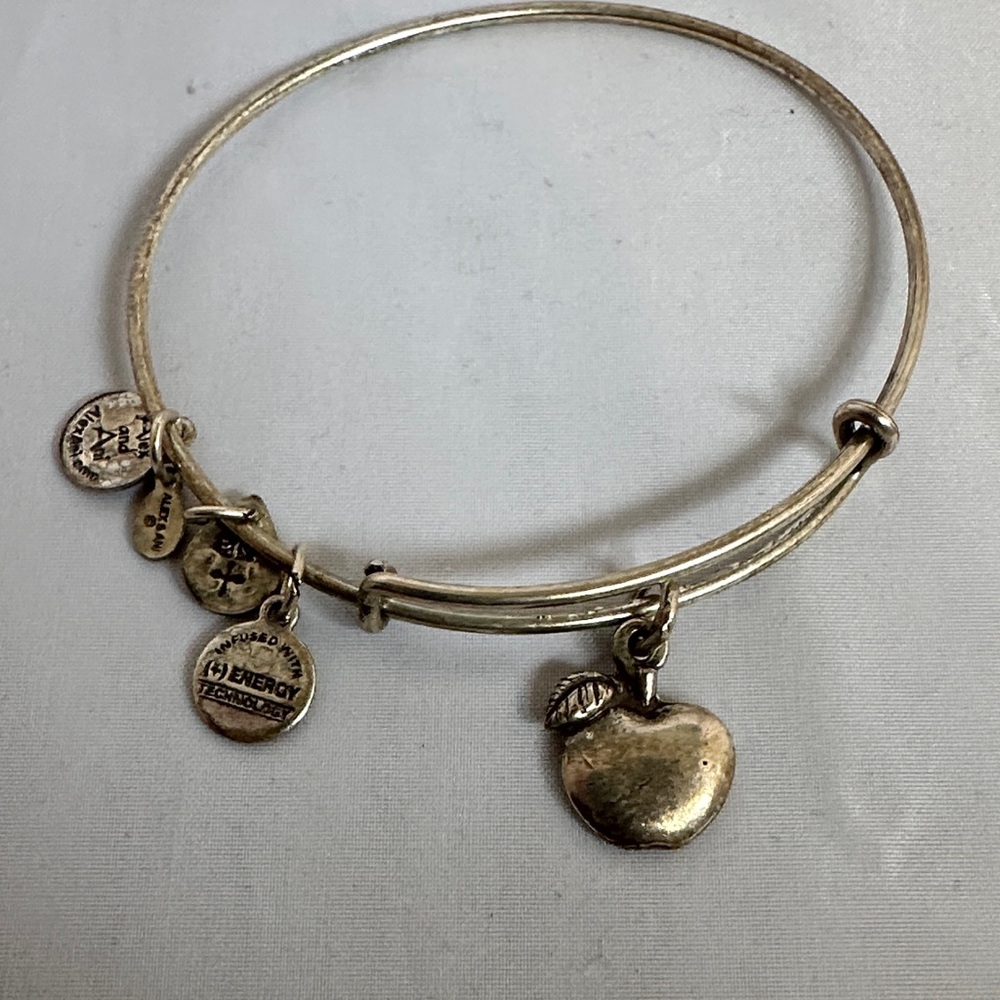 Alex and Ani Silver Apple Charm Bracelet